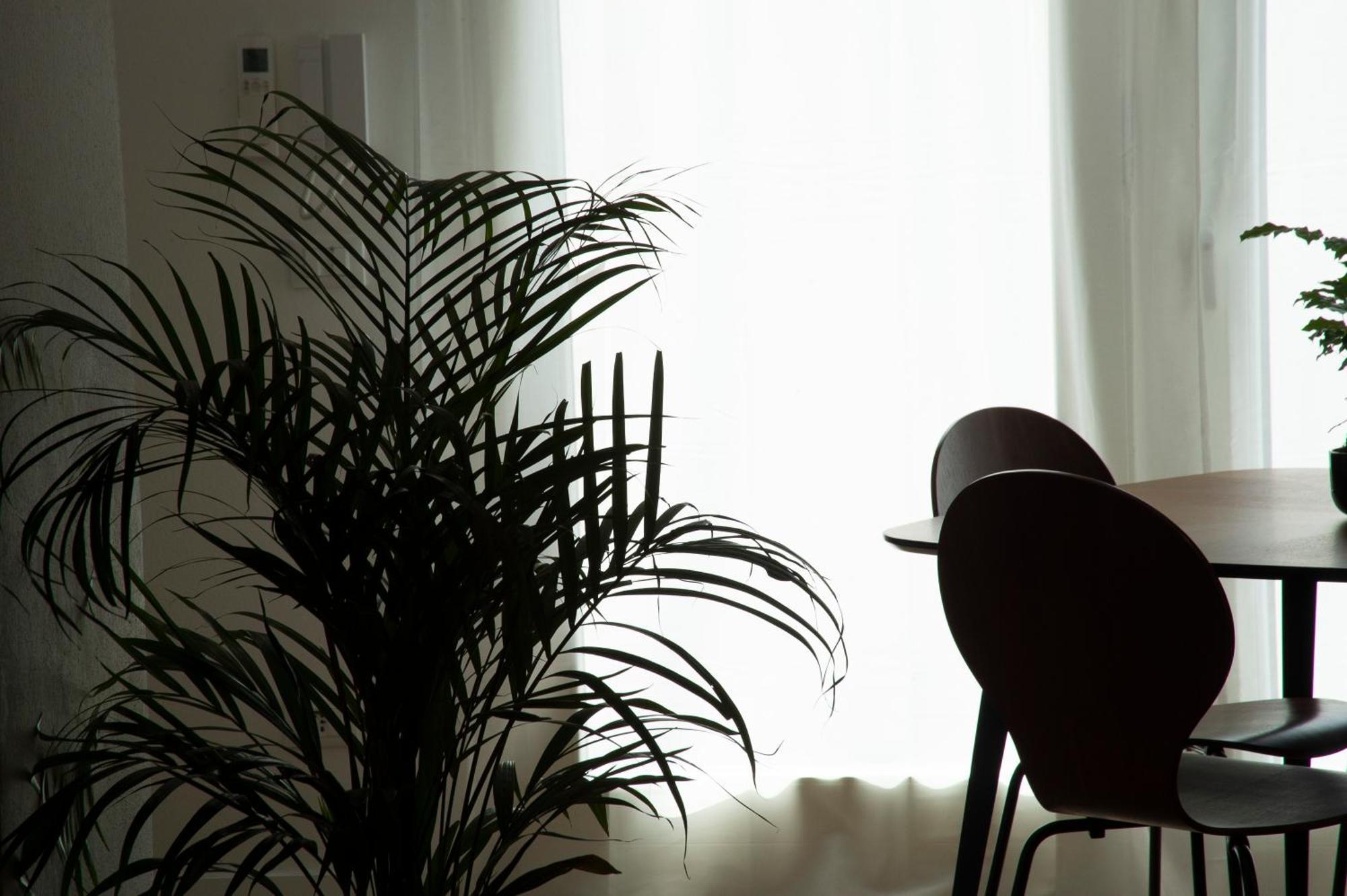 Ca Glera - Vintage Design Apartment Revine Lago エクステリア 写真